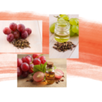 Vitamin E: Das Schönheitsvitamin für strahlende Haut