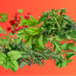 Seife selbst machen? Das klingt nach Magie! 🪄✨