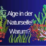 Warum wird Aprikosenkernöl in Naturseifen verwendet?